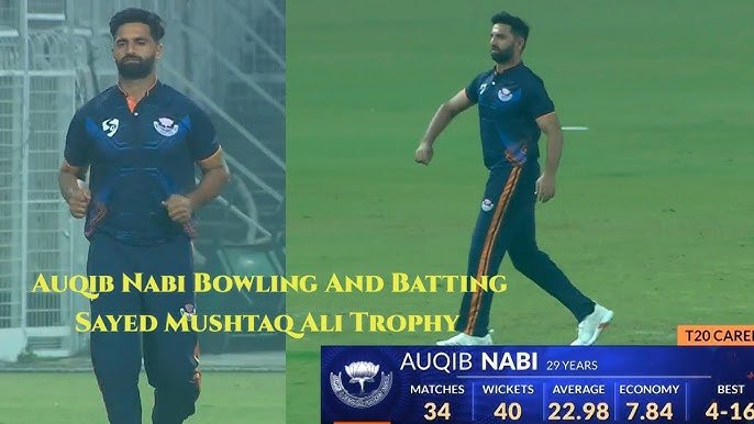 auqib nabi net worth